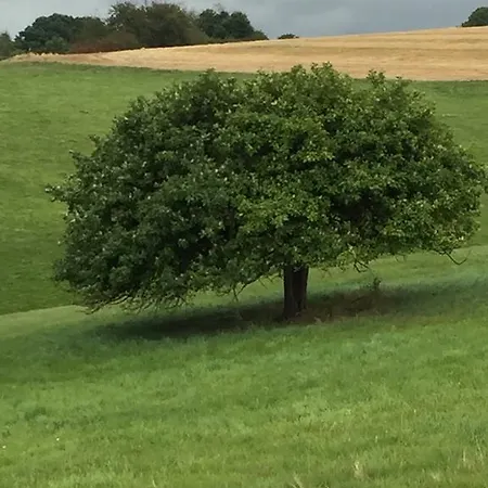 別荘 Altes Pfarrhaus Hunolstein