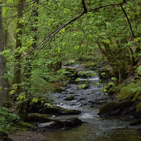Casa de Férias Altes Pfarrhaus