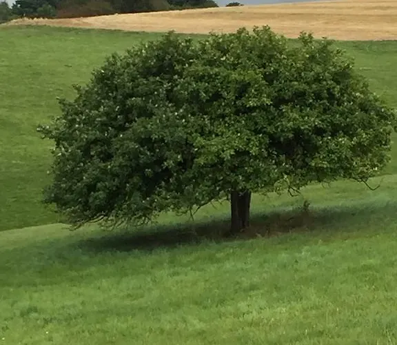 Semesterbostad Altes Pfarrhaus Hunolstein